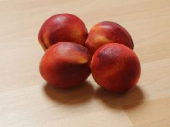 Säulen-Nektarine 'Alice Col', 60-100 cm, Prunus nucipersica 'Alice Col', Containerware