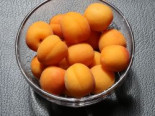 Aprikose ‚Mino‘, Stamm 40-60 cm, 120-160 cm, Prunus armeniaca ‚Mino‘, Containerware