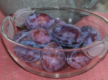 Zwetsche 'Hanita' ®, Stamm 40-60 cm, 120-160 cm, Prunus 'Hanita' ®, Containerware
