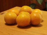 Pflaume ‚Lippische Eierpflaume‘, Stamm 40-60 cm, 120-160 cm, Prunus domestica ‚Lippische Eierpflaume‘, Containerware